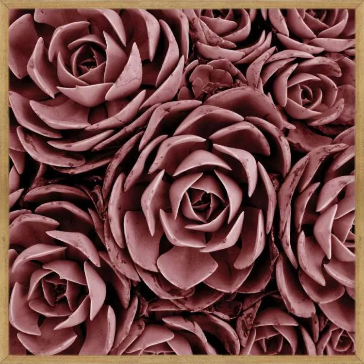 Quadro Abstrato TOP2641 com Vidro 63x63cm Top Art — Florais TOP 3018