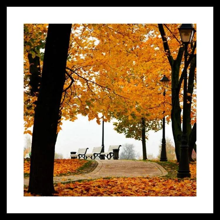 Quadro Abstrato TOP2641 com Vidro 63x63cm Top Art — Paisagens TOP 3294
