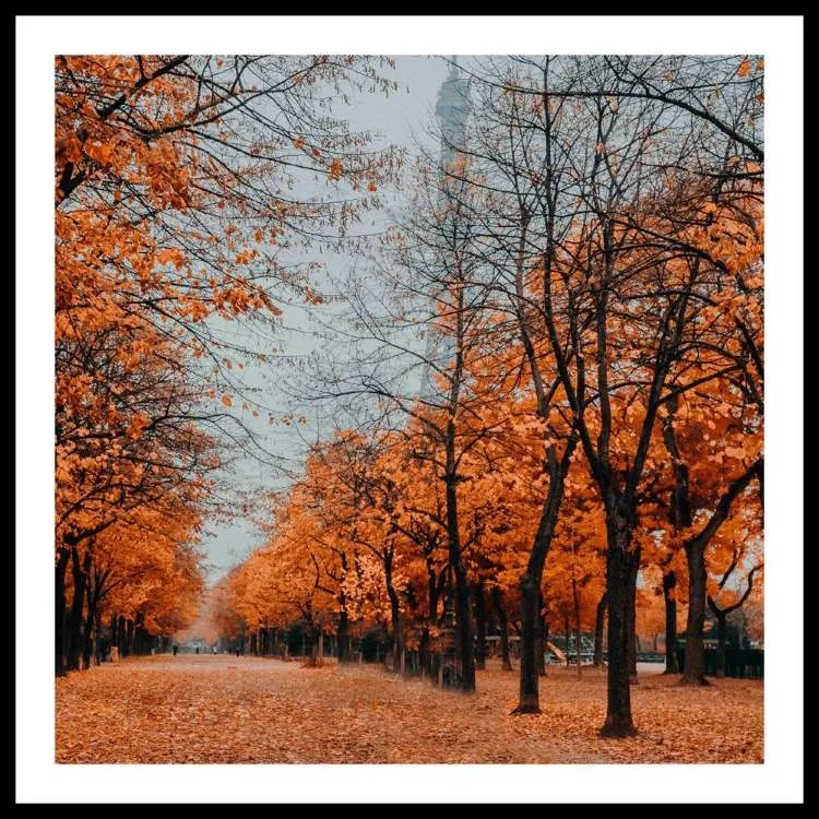 Quadro Abstrato TOP2641 com Vidro 63x63cm Top Art — Paisagens TOP 3295