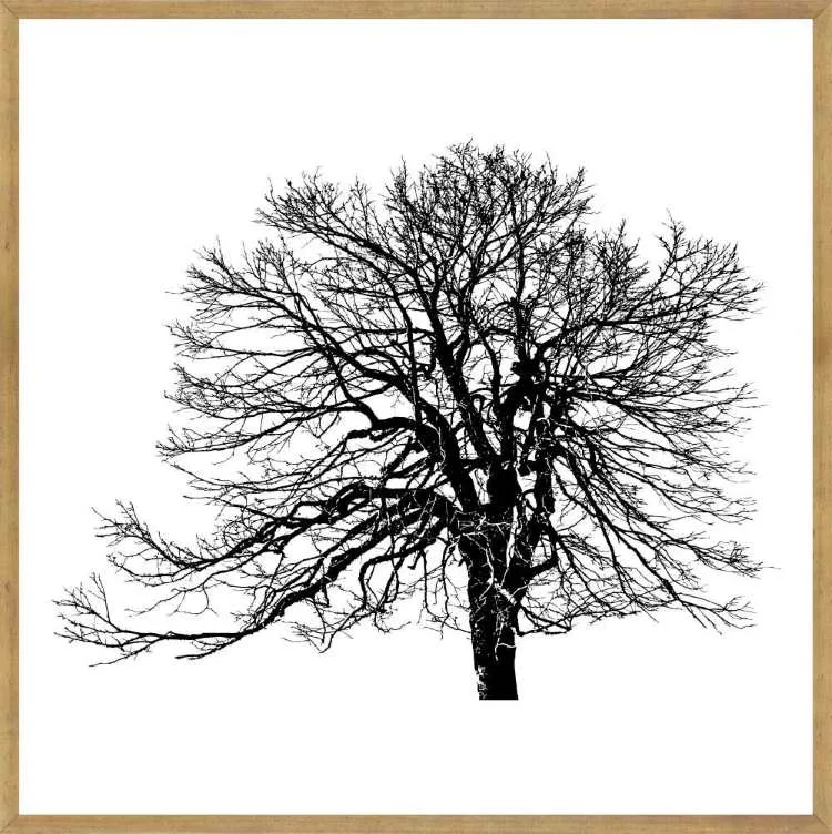 Quadro Abstrato TOP2641 com Vidro 63x63cm Top Art — Paisagens TOP 3310