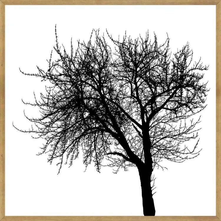 Quadro Abstrato TOP2641 com Vidro 63x63cm Top Art — Paisagens TOP 3311